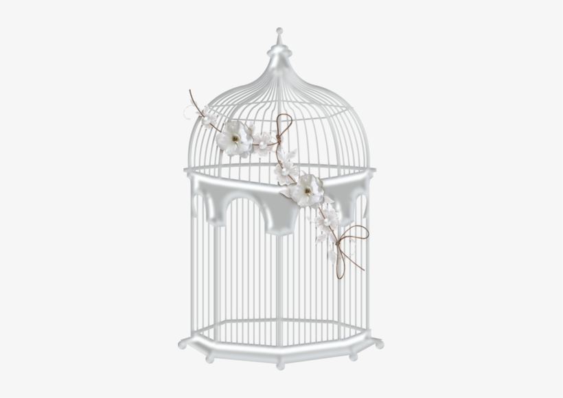 Detail Bird Cage Transparent Nomer 29