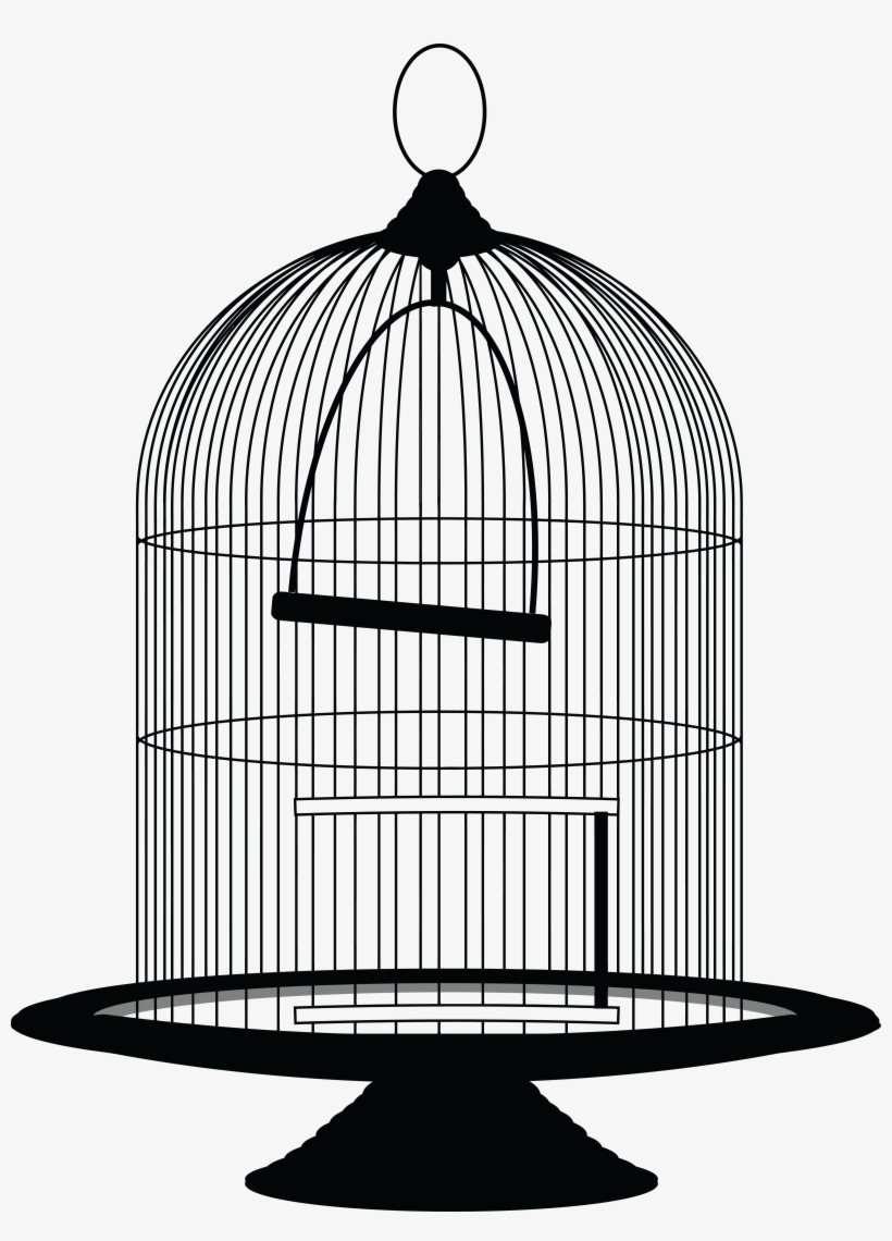 Detail Bird Cage Transparent Nomer 30