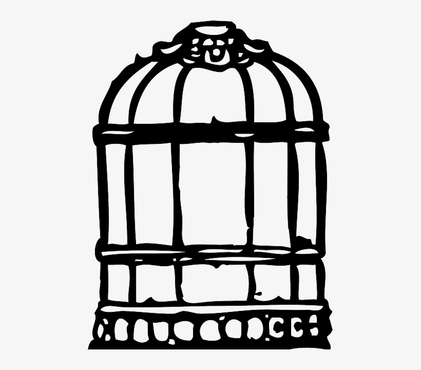 Detail Bird Cage Transparent Nomer 34