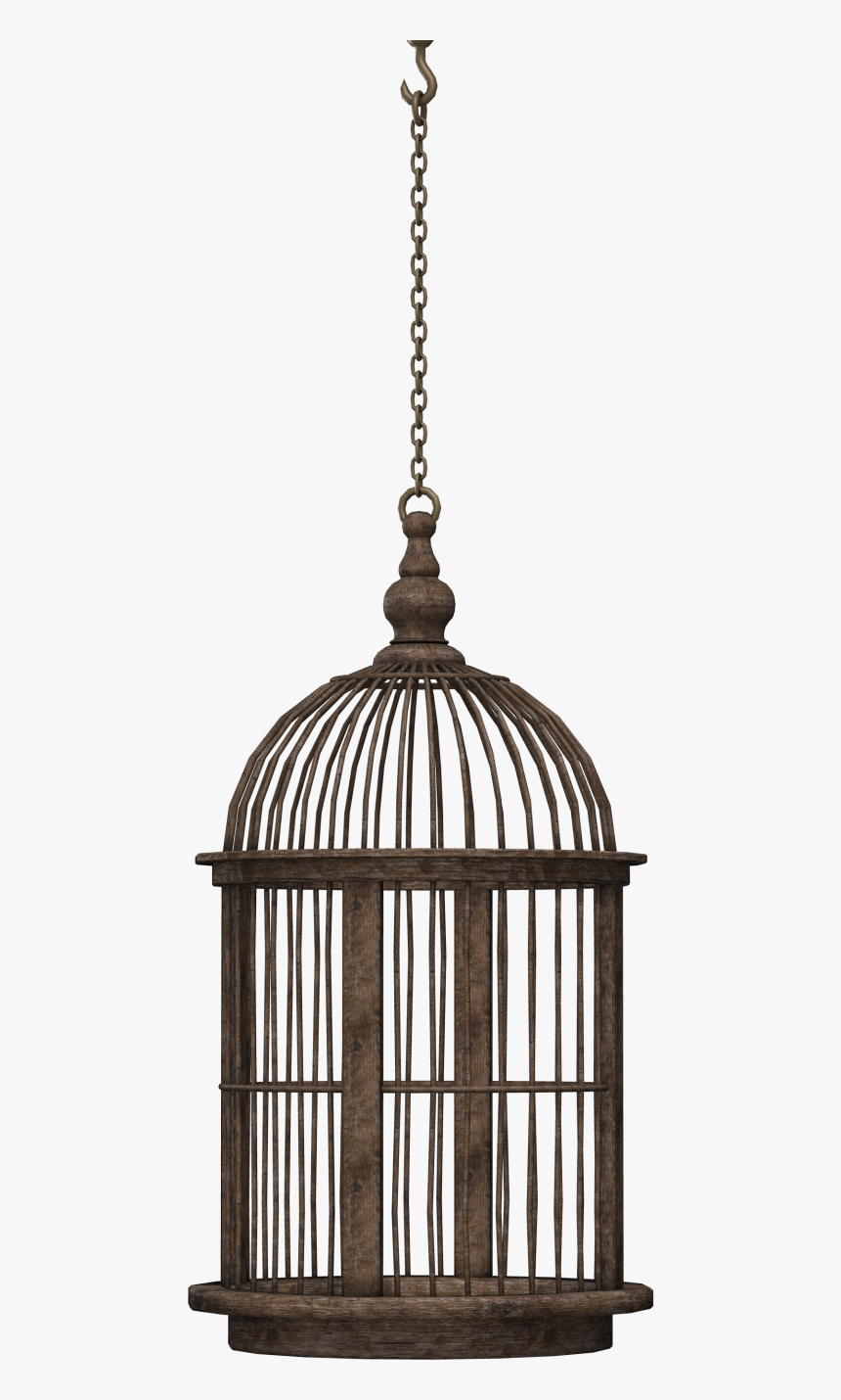 Detail Bird Cage Transparent Nomer 5