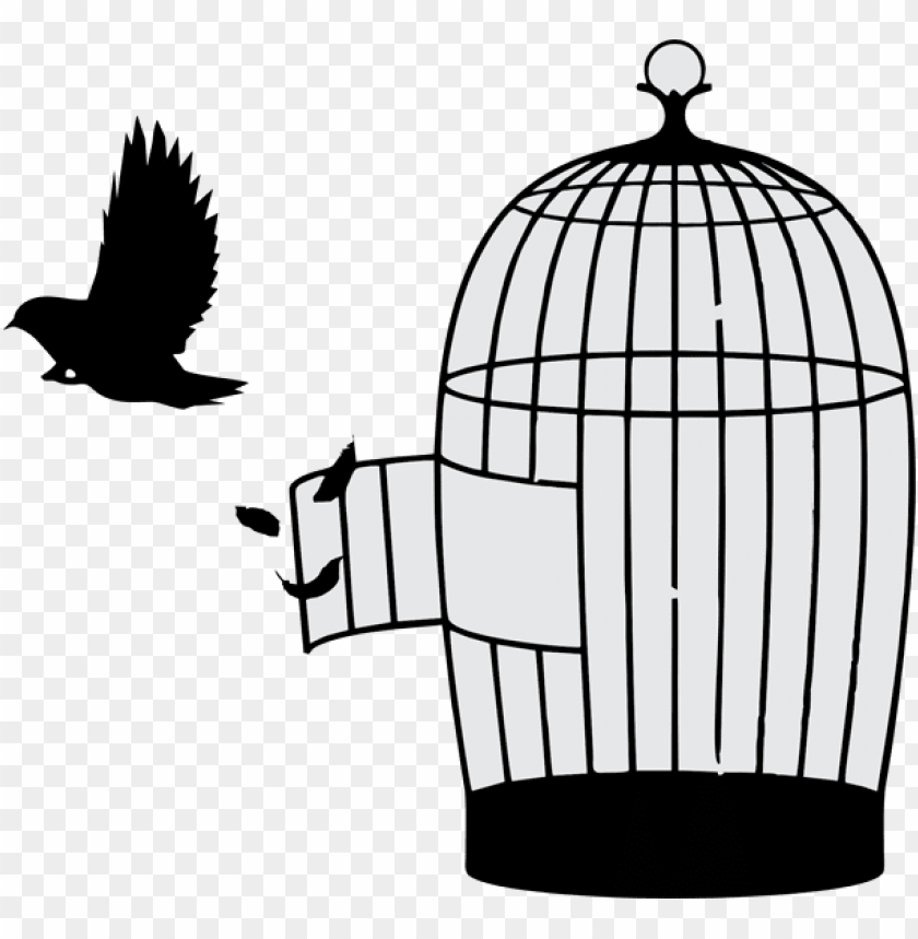 Detail Bird Cage Transparent Nomer 41
