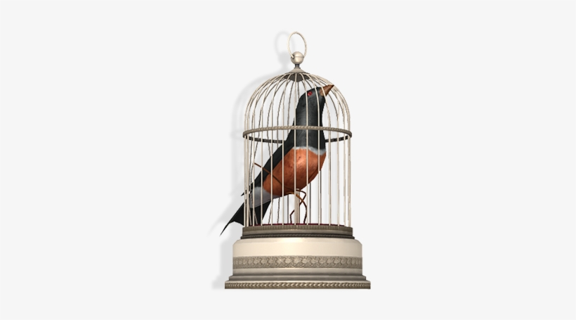 Detail Bird Cage Transparent Nomer 45