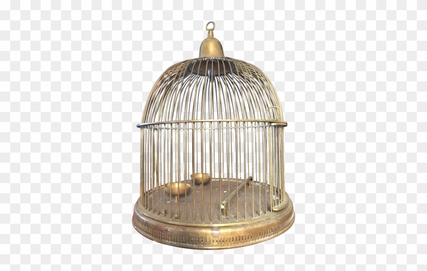 Detail Bird Cage Transparent Nomer 50