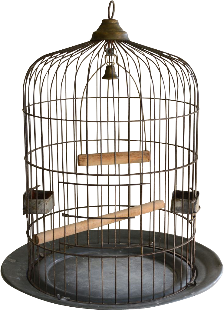 Detail Bird Cage Transparent Nomer 52