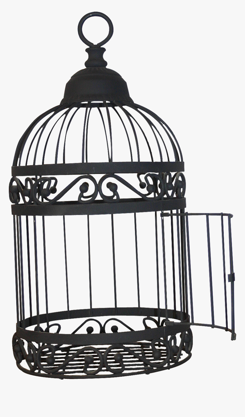 Detail Bird Cage Transparent Nomer 7