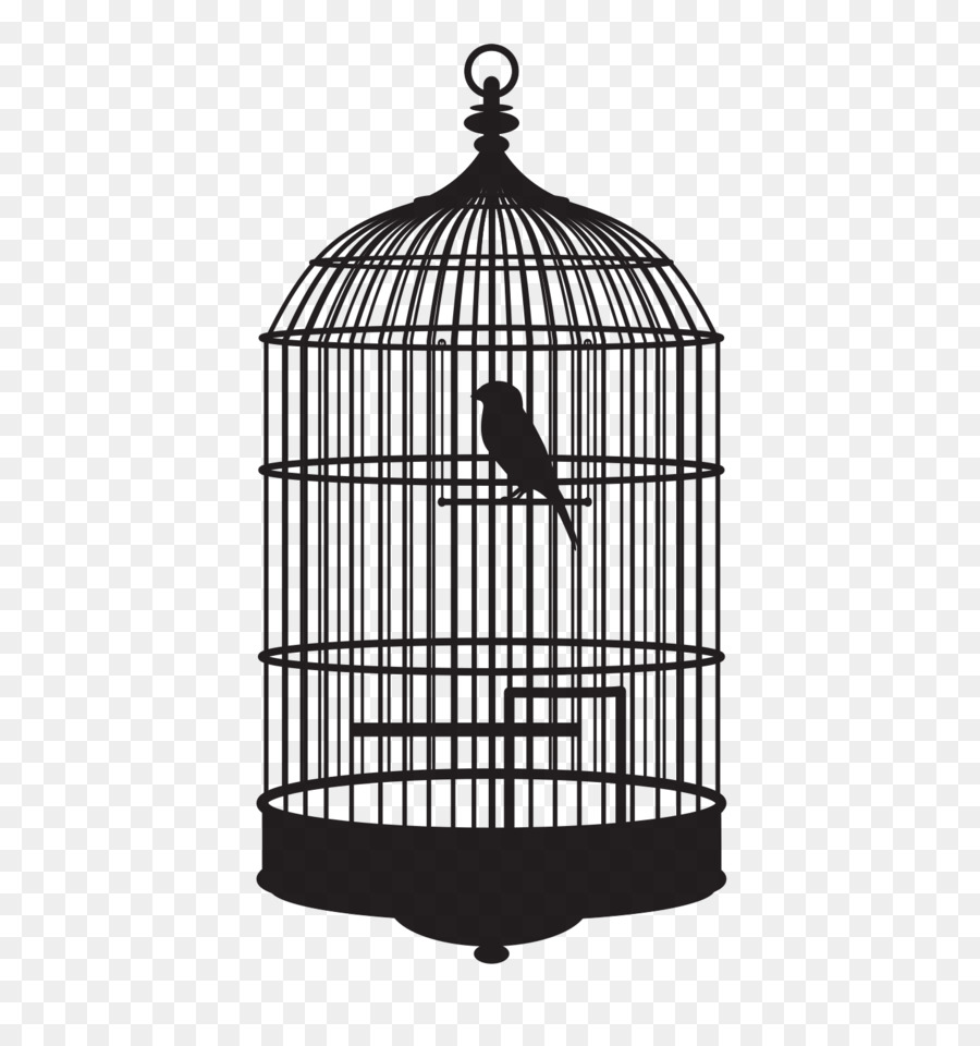 Detail Bird Cage Transparent Nomer 10
