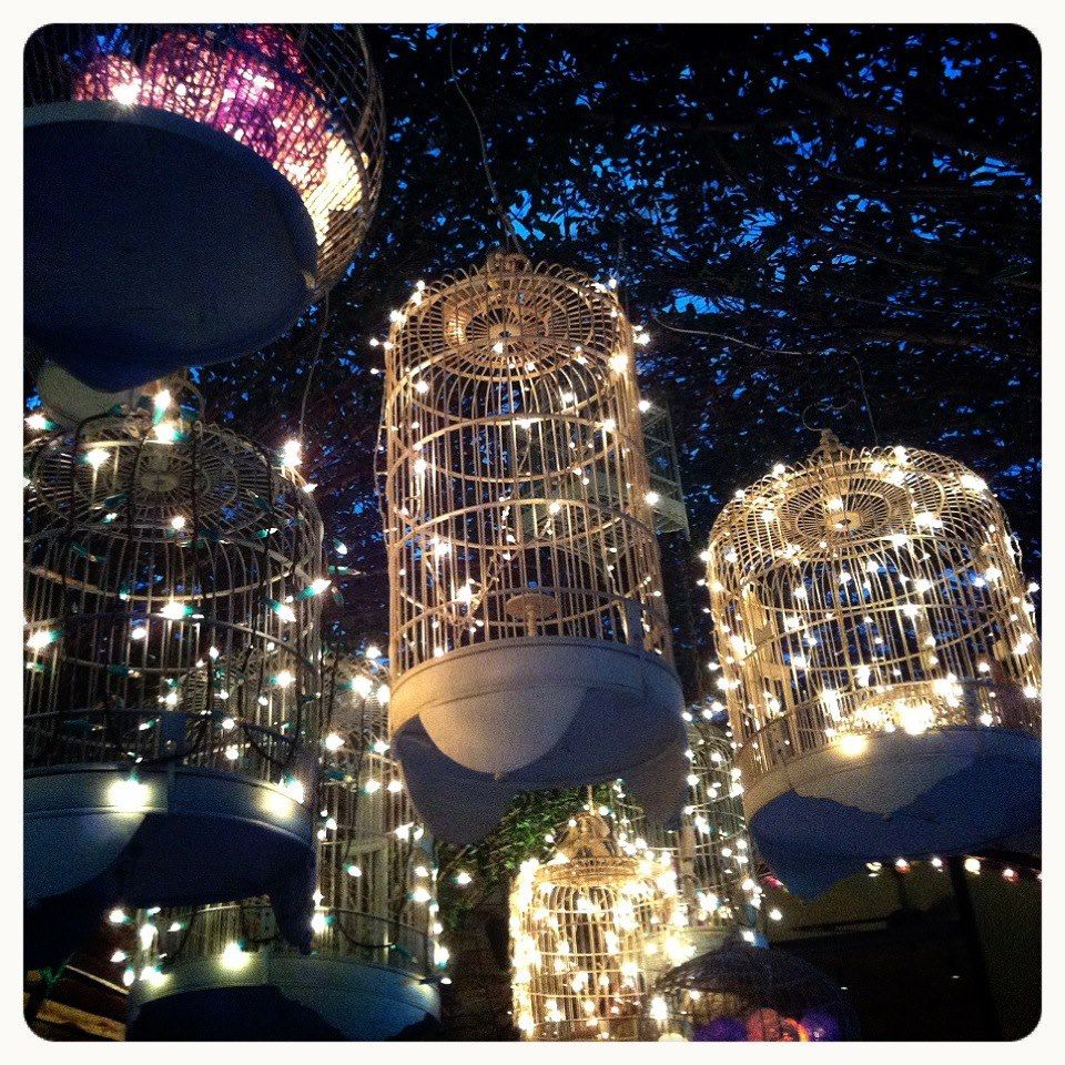 Bird Cage With Fairy Lights - KibrisPDR