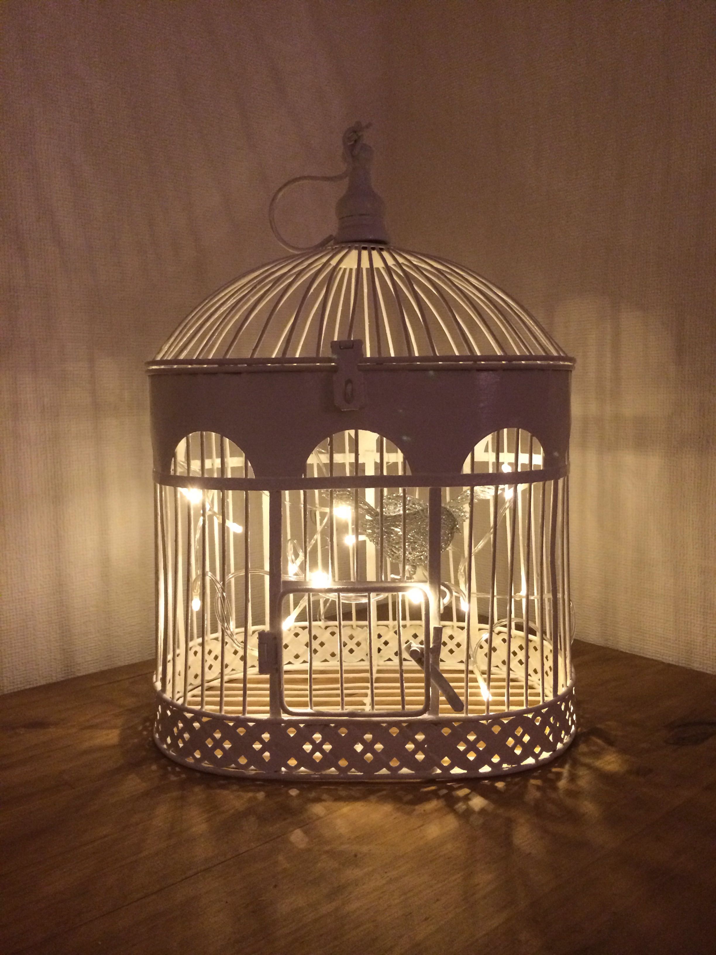 Detail Bird Cage With Fairy Lights Nomer 2