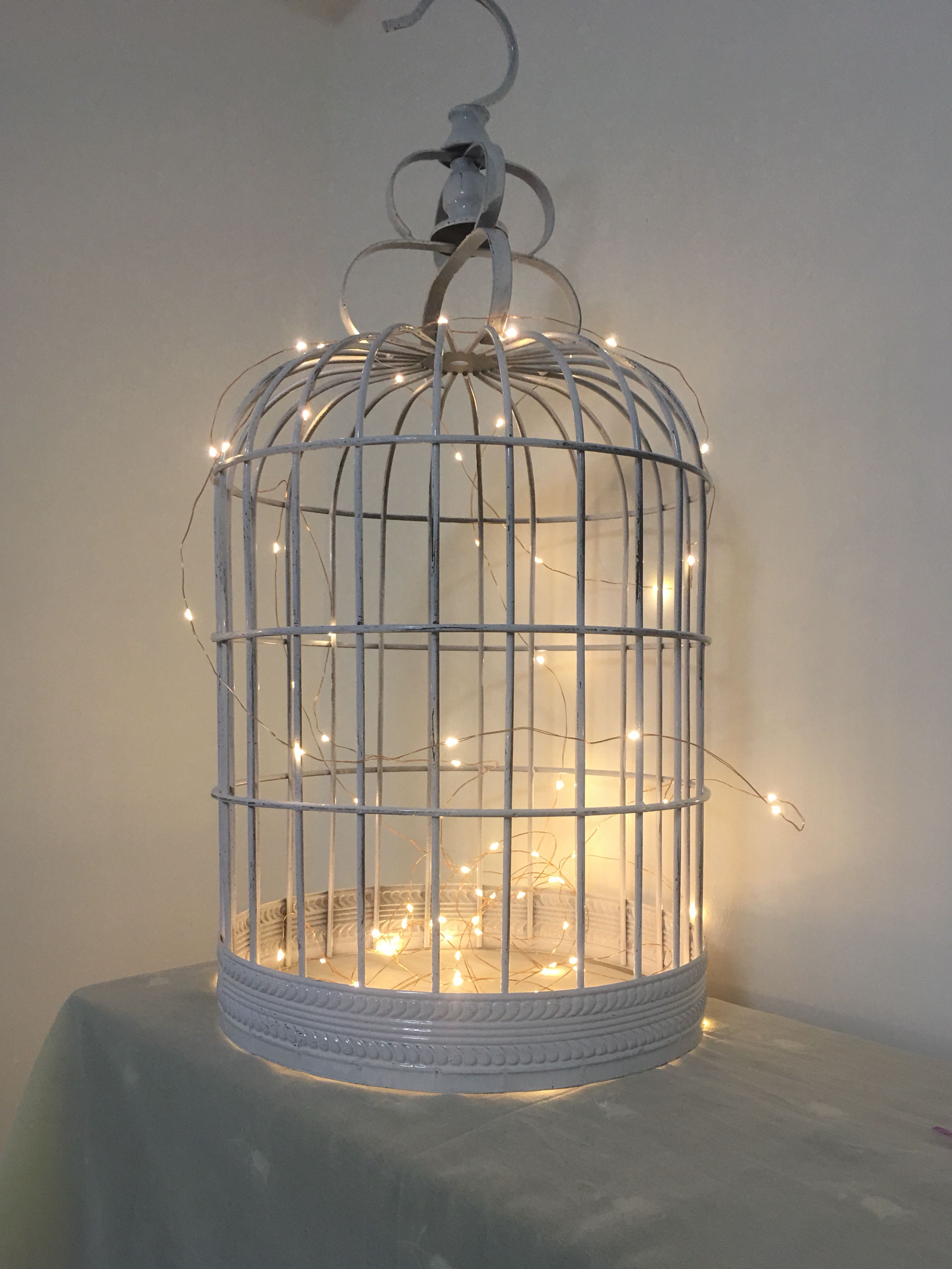 Detail Bird Cage With Fairy Lights Nomer 3