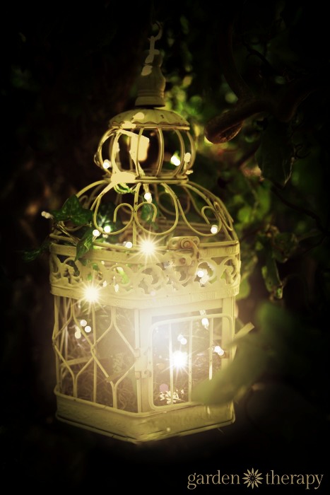 Detail Bird Cage With Fairy Lights Nomer 26