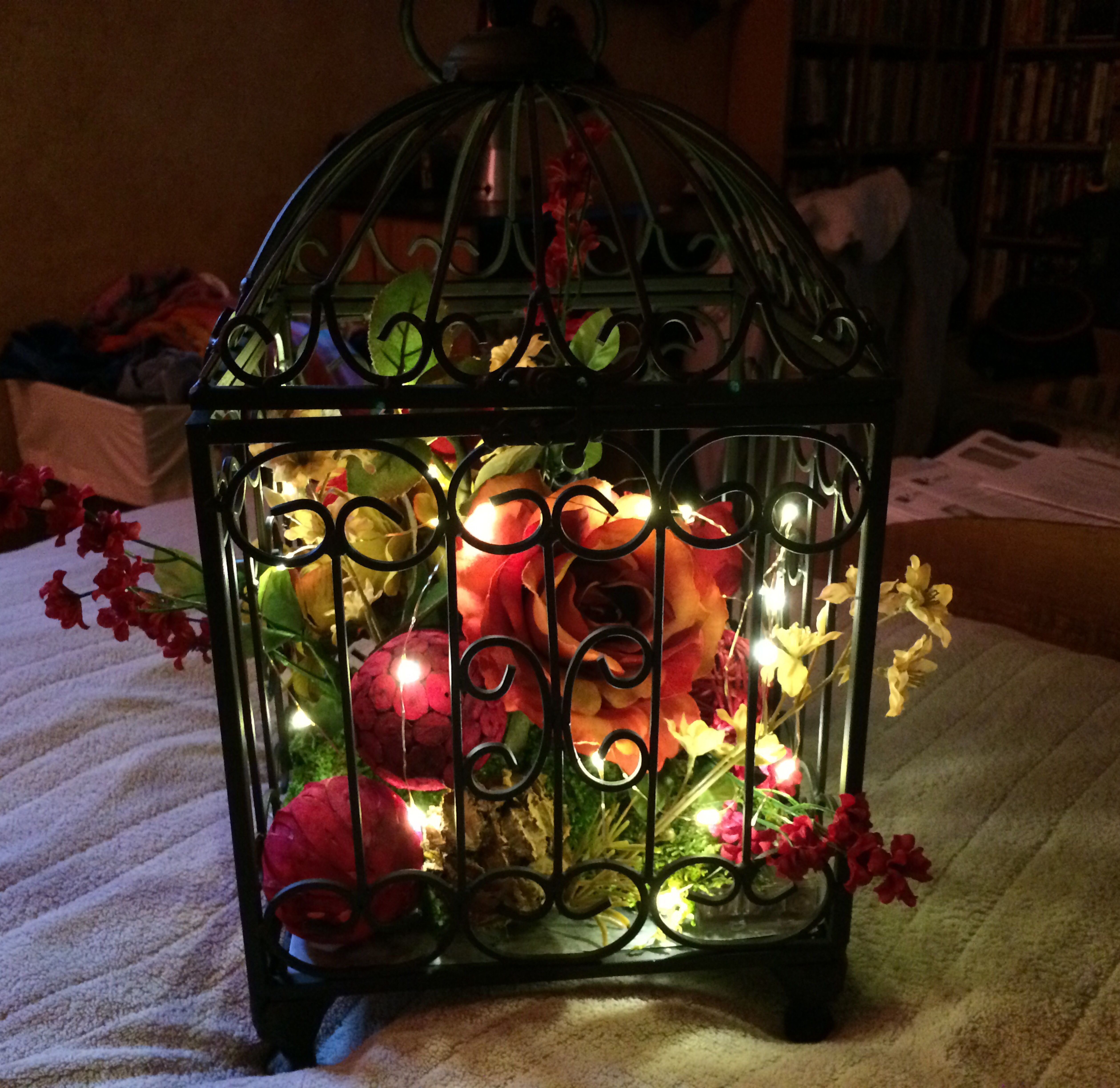 Detail Bird Cage With Fairy Lights Nomer 33