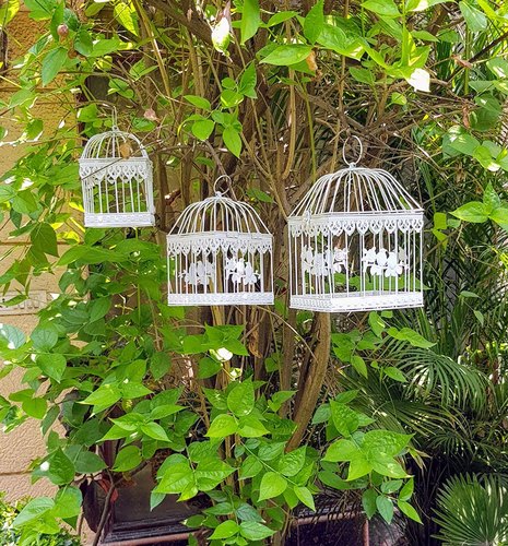 Detail Bird Cage With Fairy Lights Nomer 37