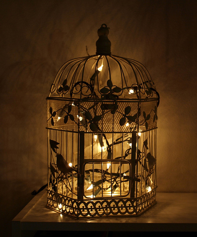 Detail Bird Cage With Fairy Lights Nomer 5