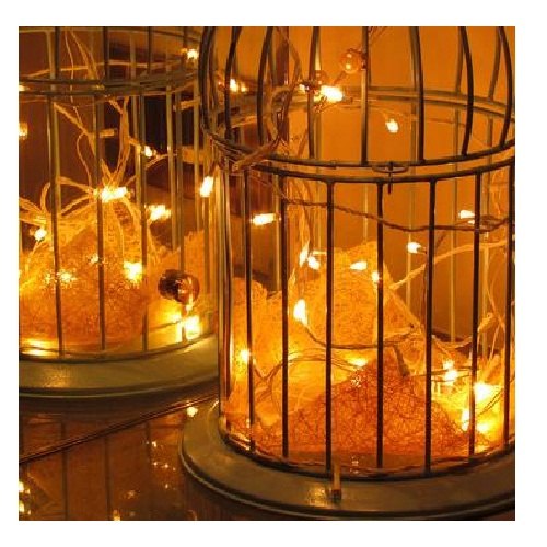 Detail Bird Cage With Fairy Lights Nomer 50