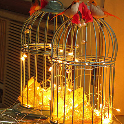 Detail Bird Cage With Fairy Lights Nomer 56