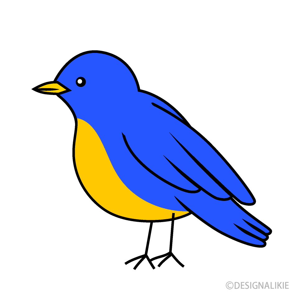 Detail Bird Clipart Nomer 14