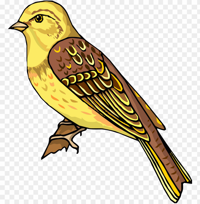 Detail Bird Clipart Nomer 25