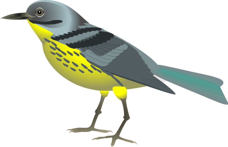Detail Bird Clipart Nomer 28