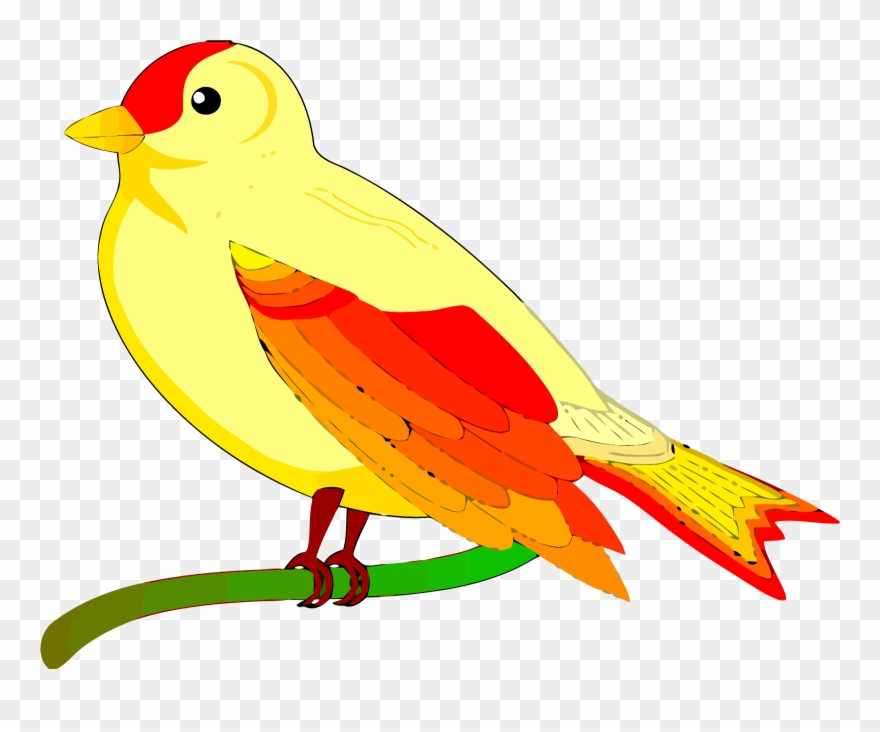 Detail Bird Clipart Nomer 54