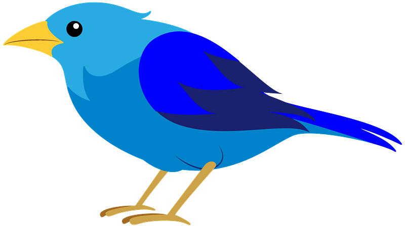 Detail Bird Clipart Nomer 8