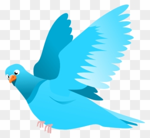Detail Bird Clipart Transparent Background Nomer 3