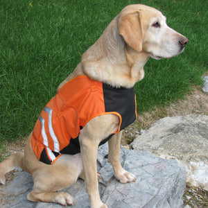 Bird Dog Armor Vest - KibrisPDR