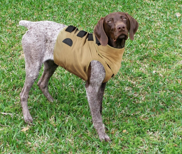 Detail Bird Dog Armor Vest Nomer 10