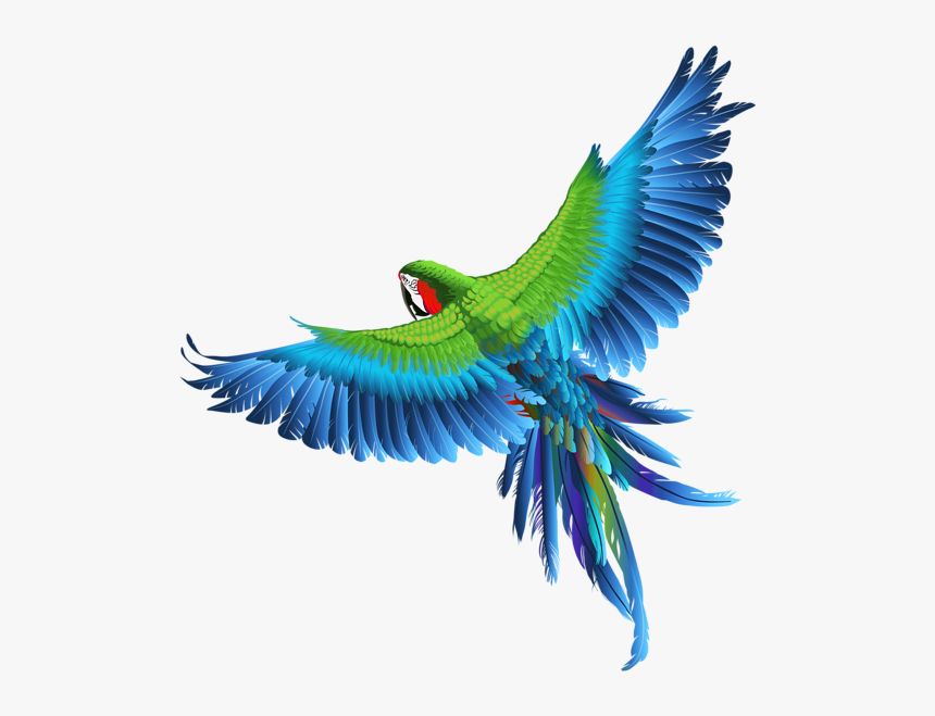 Detail Bird Download Nomer 48