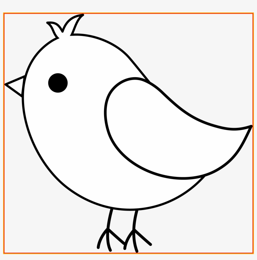 Detail Bird Drawing Png Nomer 13