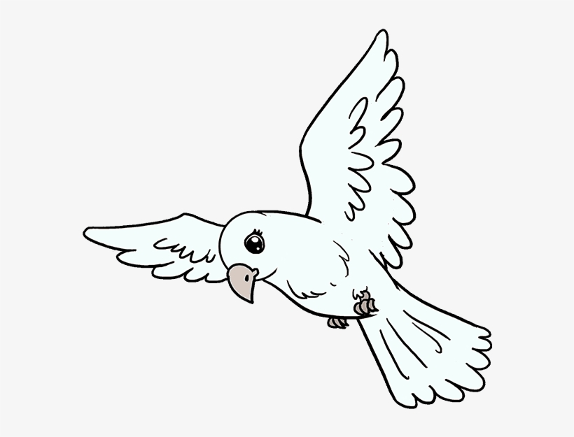 Detail Bird Drawing Png Nomer 16