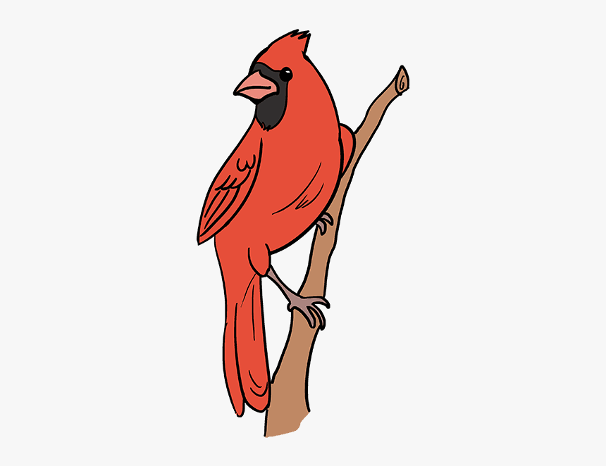 Detail Bird Drawing Png Nomer 37