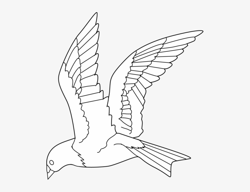 Detail Bird Drawing Png Nomer 47