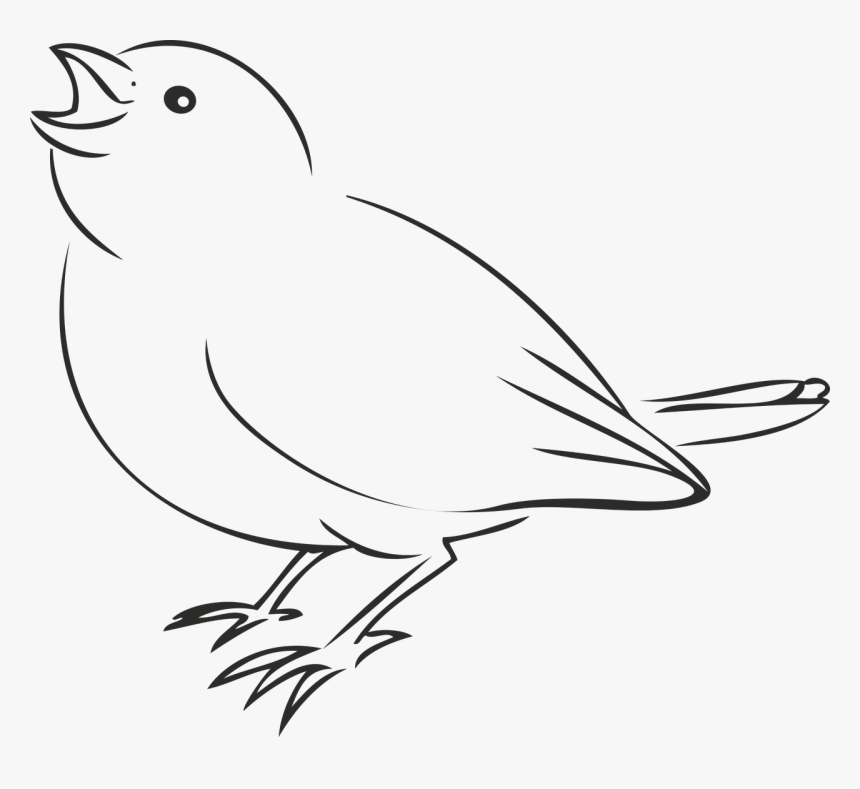 Detail Bird Drawing Png Nomer 6