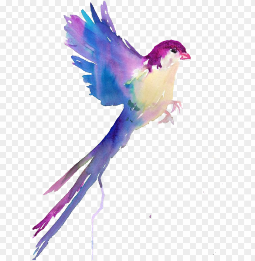 Detail Bird Drawing Png Nomer 51