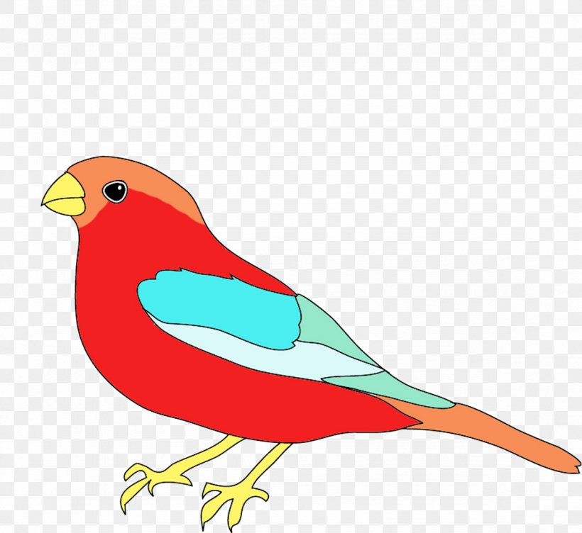 Detail Bird Drawing Png Nomer 53