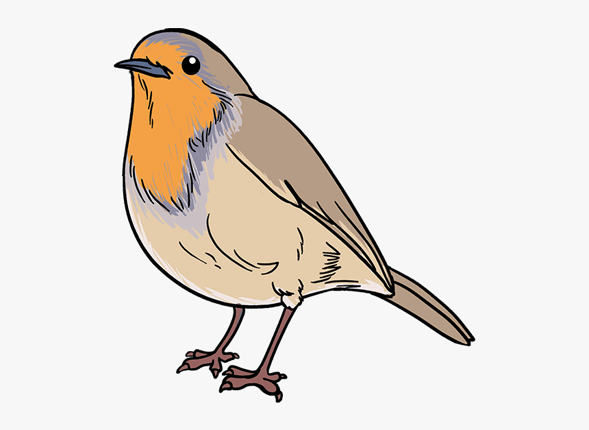 Detail Bird Drawing Png Nomer 7