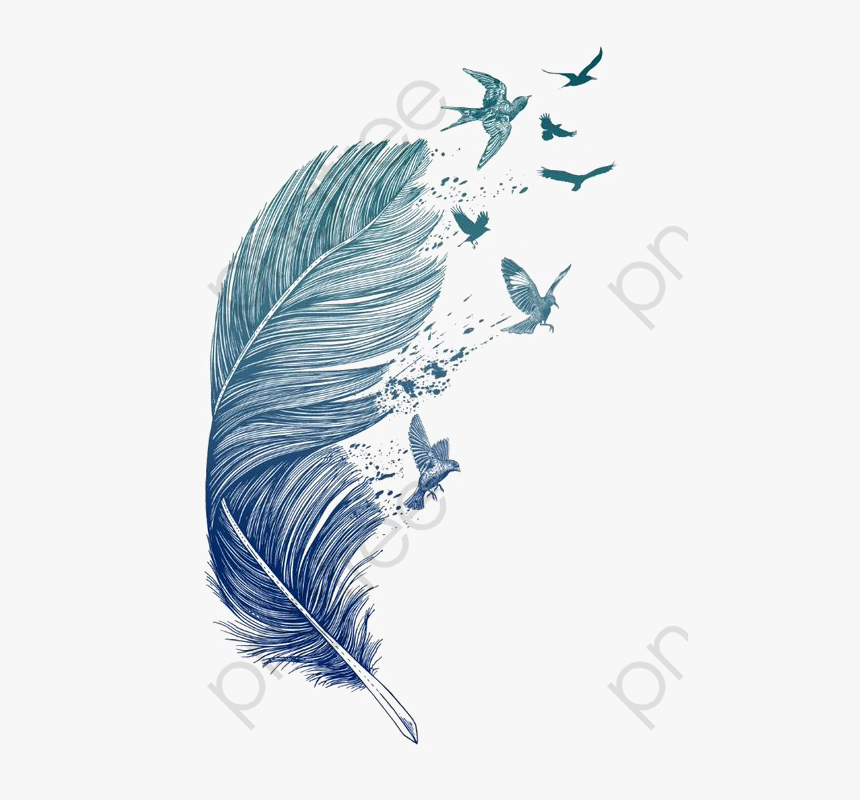 Detail Bird Feather Png Nomer 19