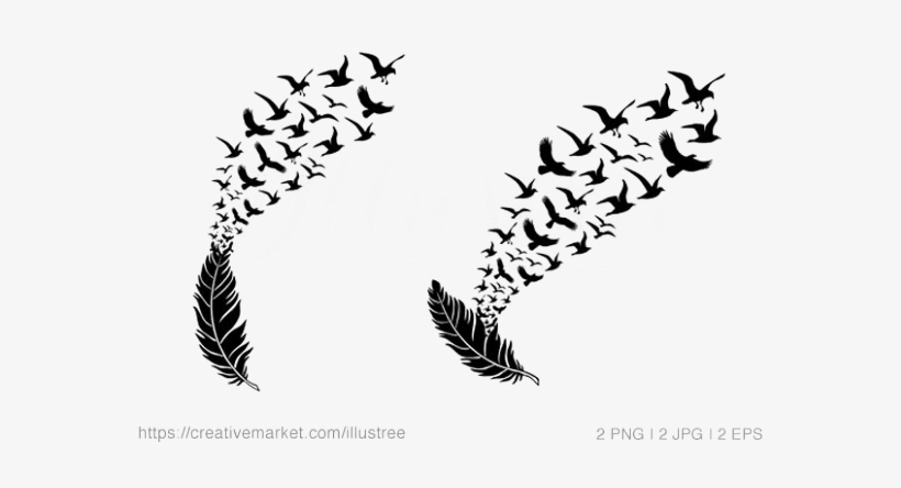 Detail Bird Feather Png Nomer 26