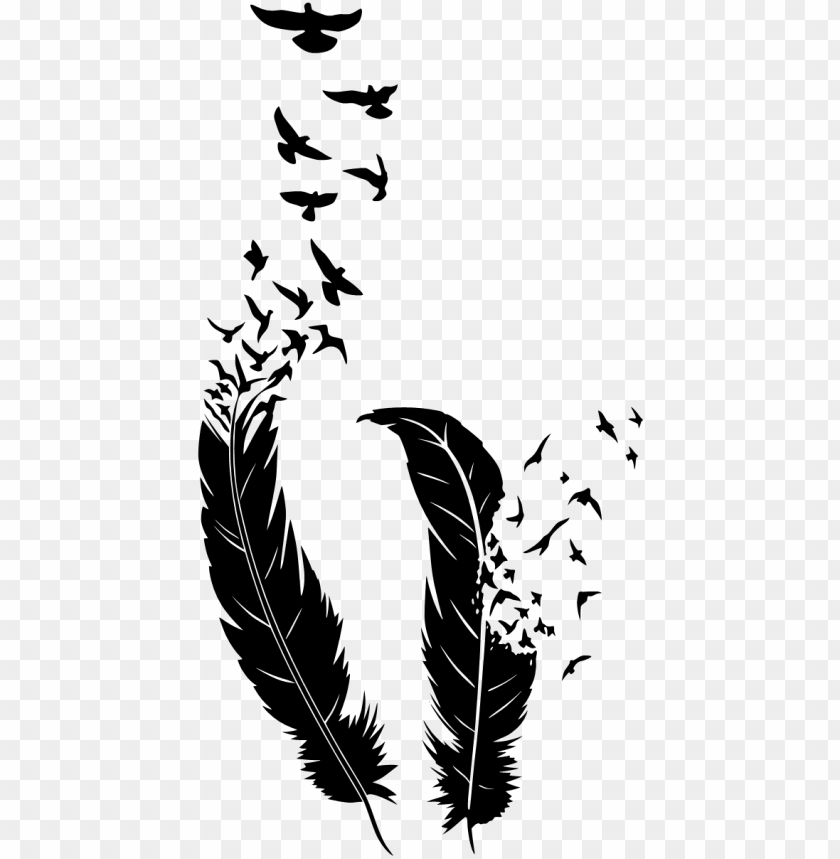 Detail Bird Feather Png Nomer 4