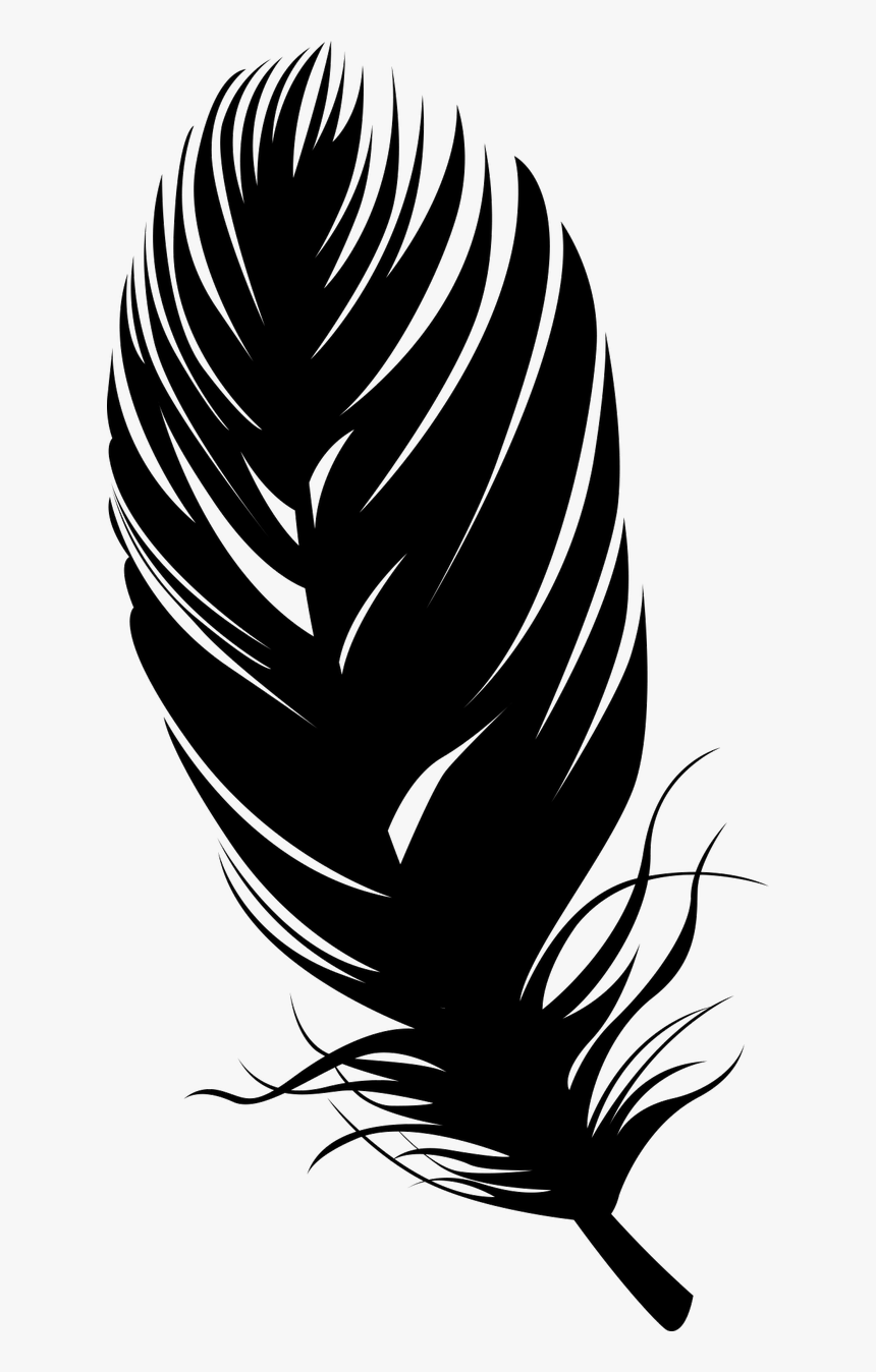 Detail Bird Feather Png Nomer 34