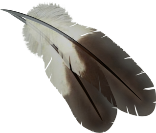 Detail Bird Feather Png Nomer 46