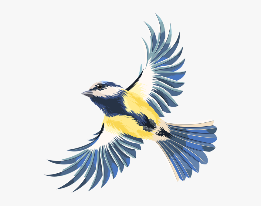 Detail Bird Fly Clipart Nomer 13