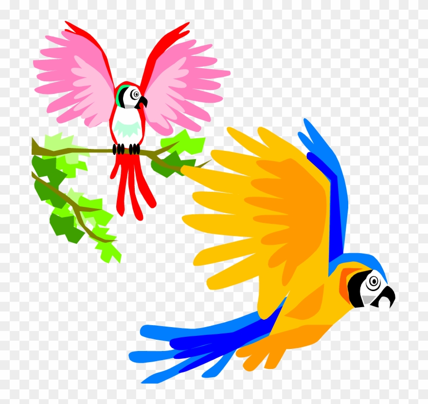 Detail Bird Fly Clipart Nomer 30