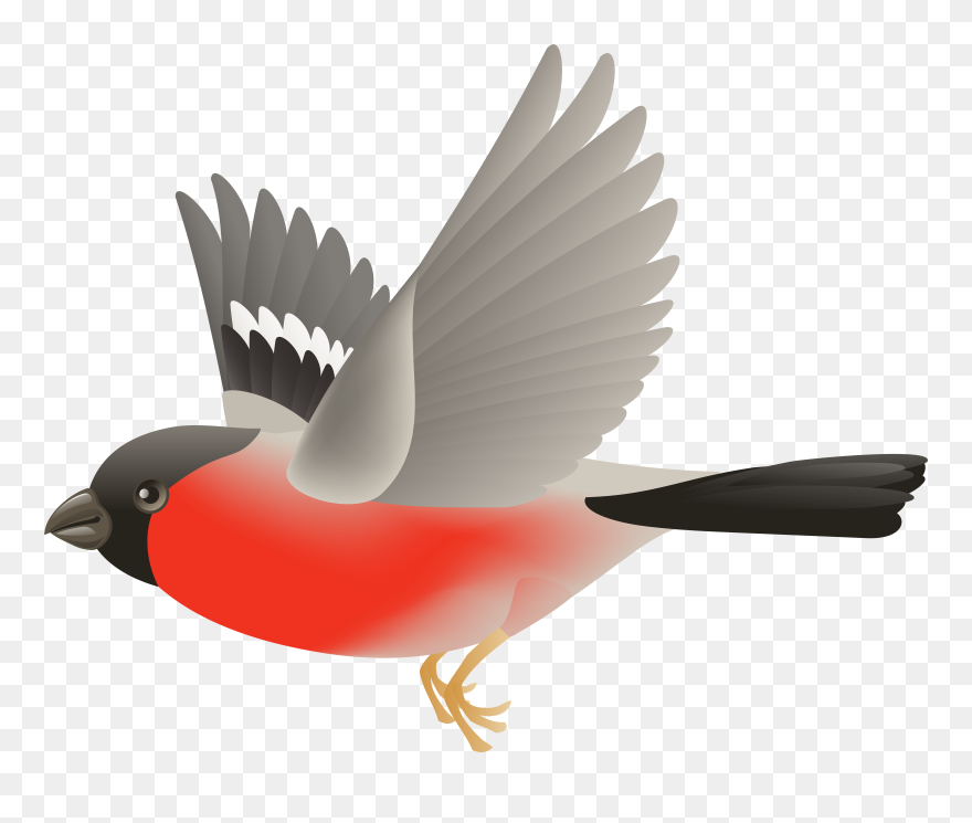 Detail Bird Fly Clipart Nomer 32