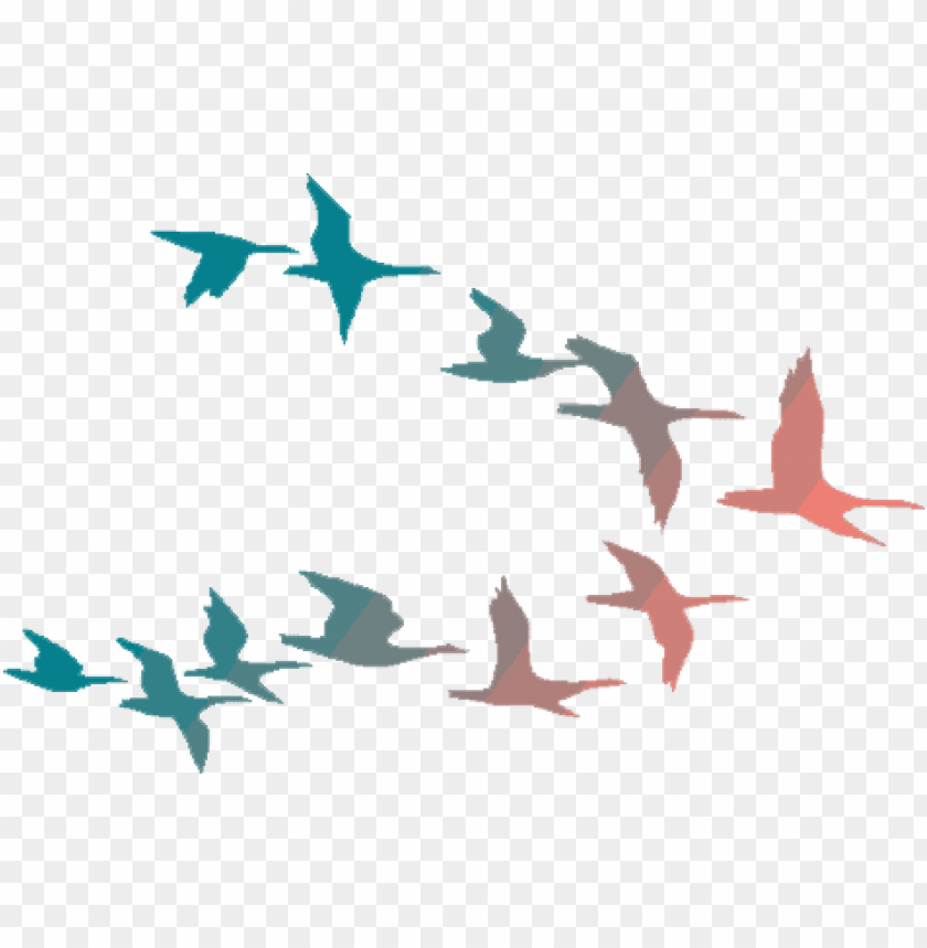 Detail Bird Fly Png Nomer 32