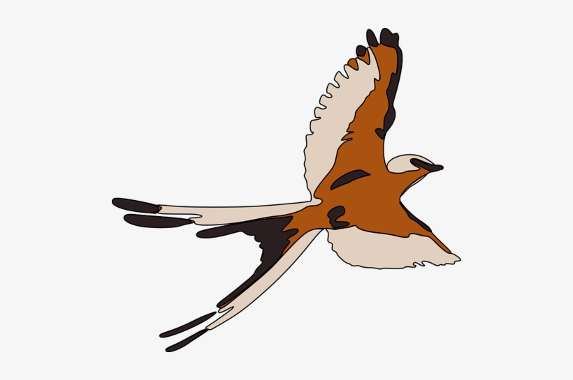 Detail Bird Flying Clipart Nomer 47