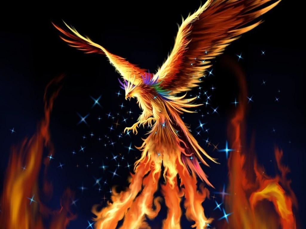 Detail Bird Hd Nomer 48