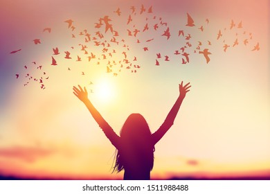 Detail Bird Images Free Nomer 30