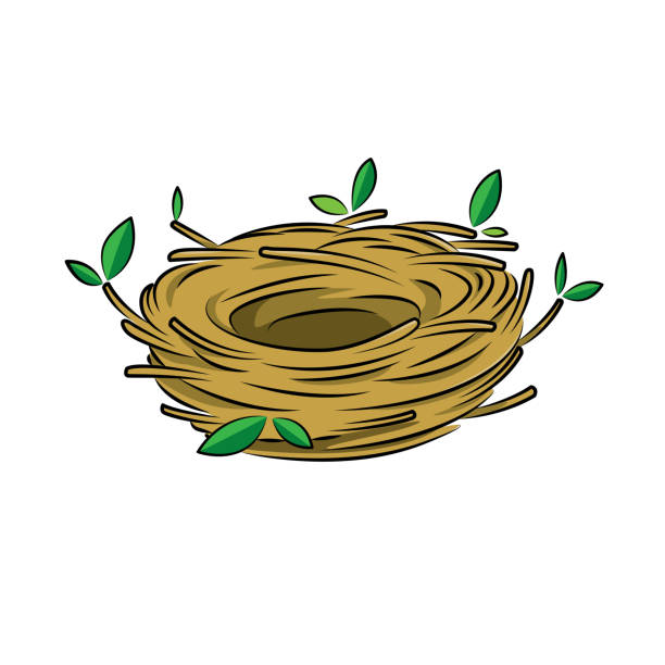 Detail Bird In A Nest Clipart Nomer 16