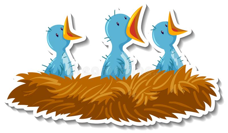 Detail Bird In A Nest Clipart Nomer 25